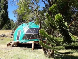 El Cipresal - Domo Fiofio - 0