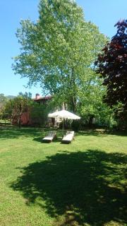 Rose Cottage Tuscany - Fosdinovo - 1