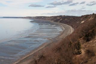 Clam Gulch Lodge - 3