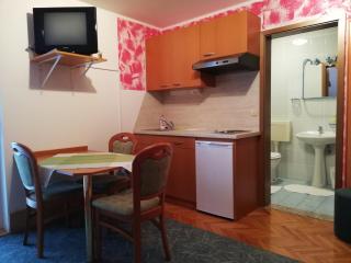 Apartmaji Tisa - Moravske Toplice - 3