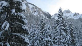 Hôtel Le Mont Jorat - 2