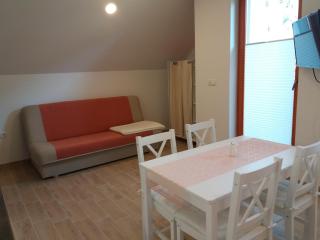 APARTMA BREMEC-STUDIO - 3