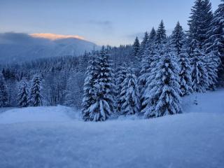 Nature House Predeal - Predeal - 0