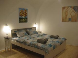 Ica House Central - Sibiu - 7