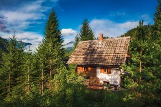 Chalet Romantic - Zgornje Jezersko - 9