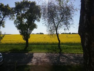 Ferienwohnung Thien - 6