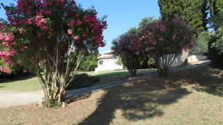 La Bastide Blanche - Roquebrune-sur Argens - 1