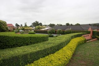 Hunter Valley Travellers Rest Motel - Cessnock - 4