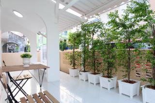 Chatuchak Art & Nature House ( 3-6 pers.) - 7