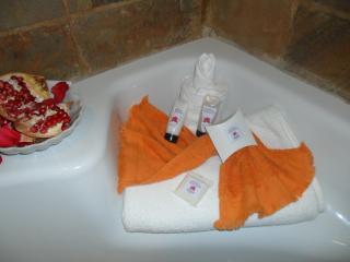 Boschdal Upmarket Guesthouse - 4