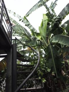 Bann Rai Klai Weang Homestay - 9