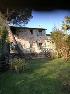 le coing - La Guiltière - 5