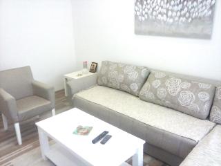 Apartman Veljic - Niš - 8