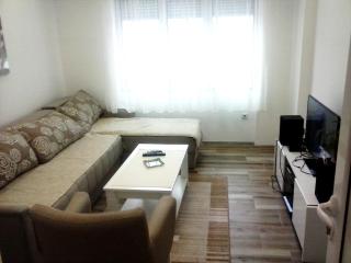 Apartman Veljic - Niš - 0