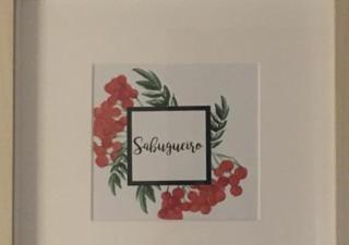 Quinta da Retorta - Pinhel - 2