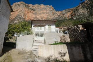 Ev Zin Basilicum - 0