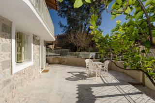Ev Zin Basilicum - Leonidio - 9