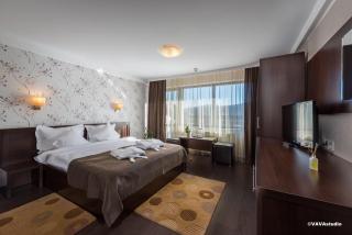 Vila Hera Luxury - Predeal - 3