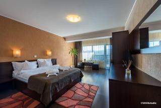 Vila Hera Luxury - Predeal - 5