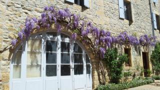 Accueil du Couvent de Malet - Saint-Côme-dʼOlt - 5