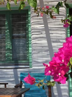 Apollon Koufonisia Studios - 6