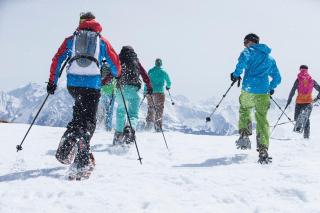 Soldanella by Hotel Adula - Flims - 3