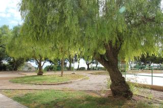 Sainvi 10-3C - Villajoyosa - 8