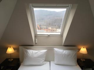 Villa Waldfrieden - Design trifft Budget - Annweiler am Trifels - 7
