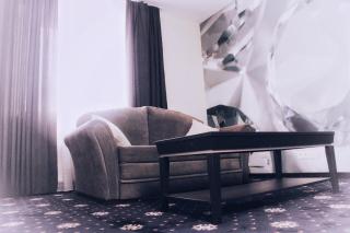 Hotel Felicia - Riga - 9