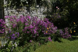 La casa degli oleandri - Perledo - 4
