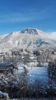 Petit chalet Belosevic - 4