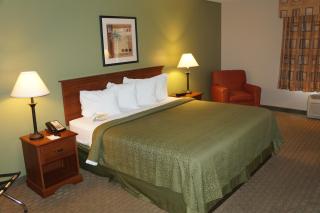 Quality Inn & Suites Tampa-Ybor City - Tampa - 7