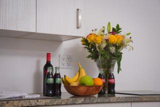 Regency Inn & Suites Sarasota - 3