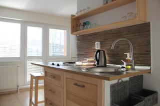 Apartmány Mamut Harrachov - 8