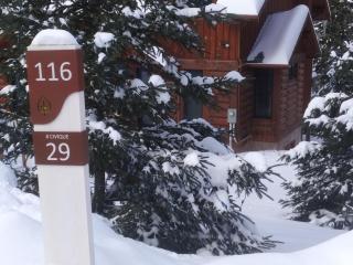 Chalet F116 Mont-Tremblant Nord - 6