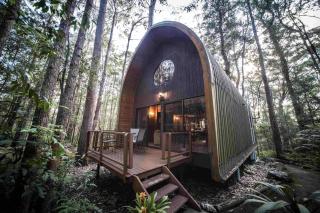 Springbrook Mountain Chalets - 2