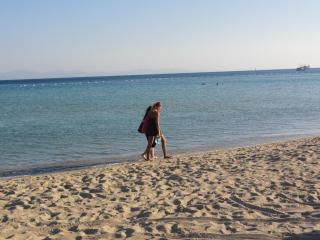 Altinersan Hotel - Didim - 4