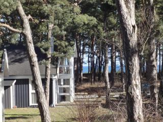 Ostsee Strandhaus Seerobbe - 8