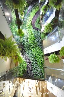 Green Hotel - Fengjia - Taichung - 1