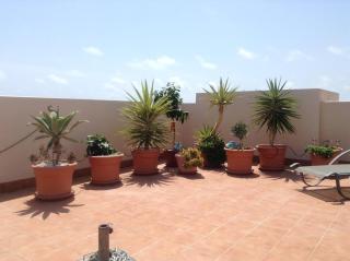 PAULINA EL BOSQUE - Orihuela - 4