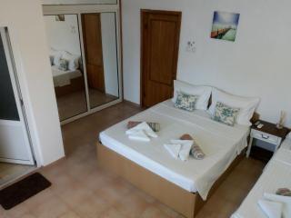Pensiunea Casa Johnelly - Costinesti - 1
