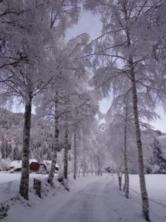 Apartment zum Wasserfall - 5