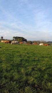 La maison d'Augusta - 6