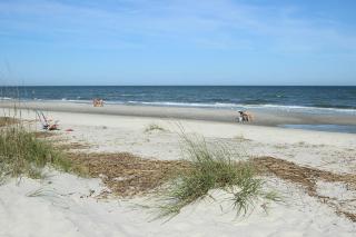Windsor Place - Hilton Head Island - 6