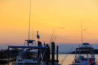 Stoney Creek 272 - Hilton Head Island - 7