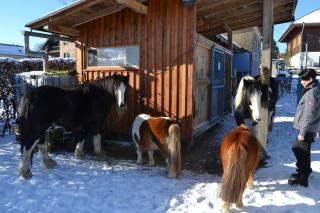 Ferien bei Freunden im Holzhaus - 8