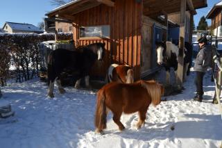 Ferien bei Freunden im Holzhaus - 7