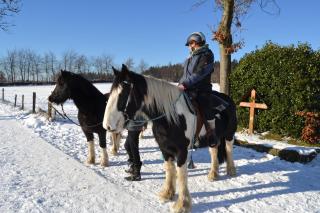 Ferien bei Freunden im Holzhaus - Monschau - 5