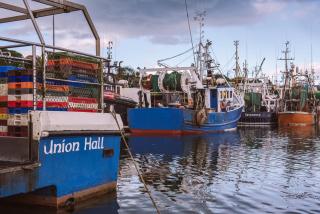 Shearwater Studio Apt - Union Hall - 3