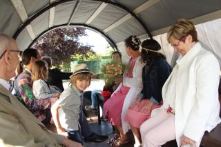 B&B Cambiare - Eeklo - 8